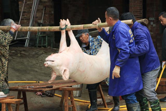 订年猪捉土鸡，打古法豆丝，来武汉周边置办“土味”年货