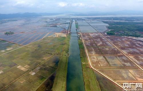 江西省吉安市吉水县：今日稻虾轮作，千年渔米新天