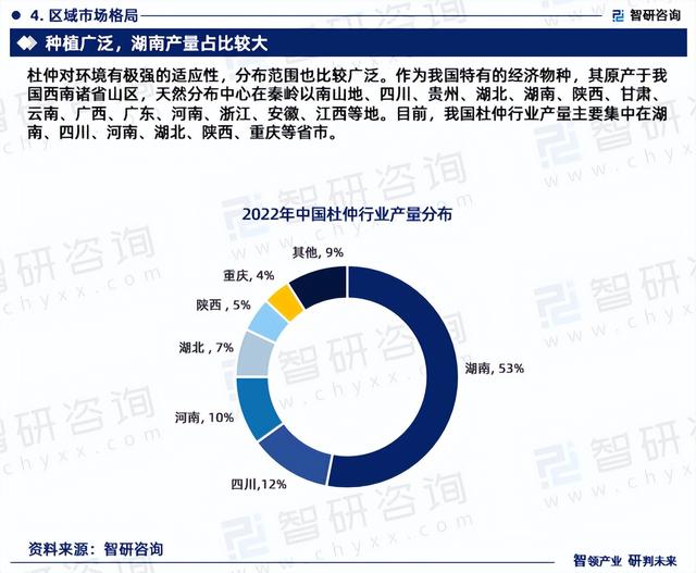 中国杜仲行业市场研究分析报告—智研咨询重磅发布（2023版）