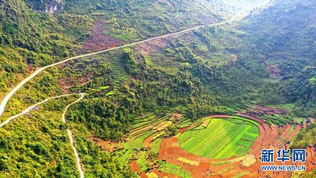 广西河池宜州区：瑶乡牧草变“金草”