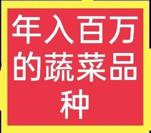 河南小瓜种植基地(种在地里的“香蕉西葫芦”，凭什么能卖十元一斤、年赚近百万元？)