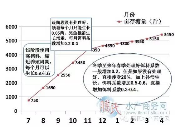 高手是这样养黄颡的！以珠三角黄颡鱼为例