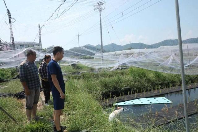 稻田、水蛭养殖场里的水蛭都快扛不住了，杭州消防员连续多日送去百吨水