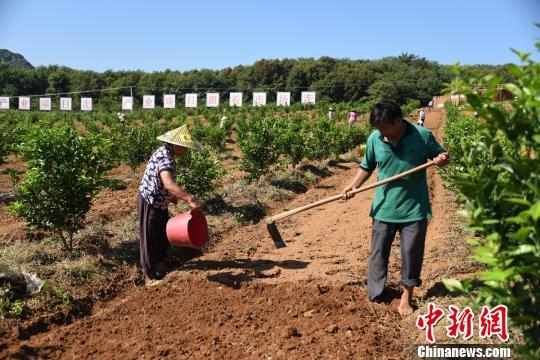 湖南江永：抓住“精准”牛鼻子 打赢脱贫攻坚战