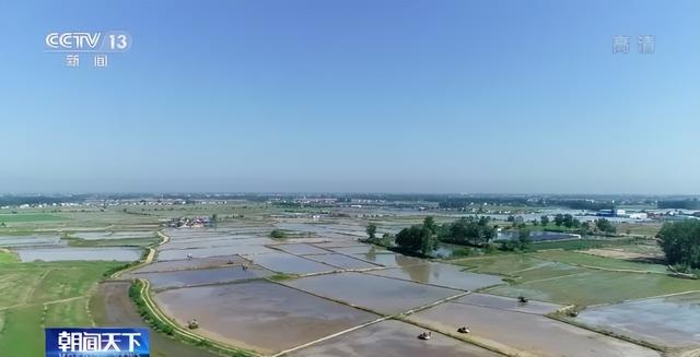 在希望的田野上·三夏时节丨夏种有序推进 各地迎来采收季