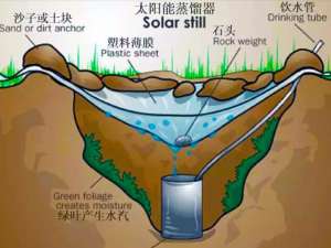 无土水蛭养殖(户外饮用水净化处理的小妙招)