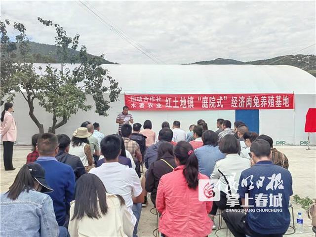 300只种兔！东川红土地镇首个庭院经济肉兔养殖基地投用