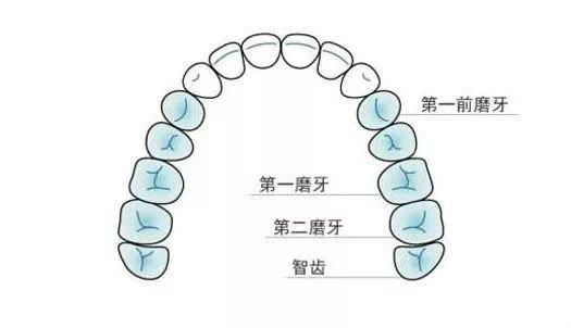 正畸治疗中专业名词解析，临床中讲对了几个？