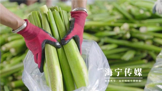 海宁驻山干部：勤跑腿多用心 扎进深山搭起“增收桥”