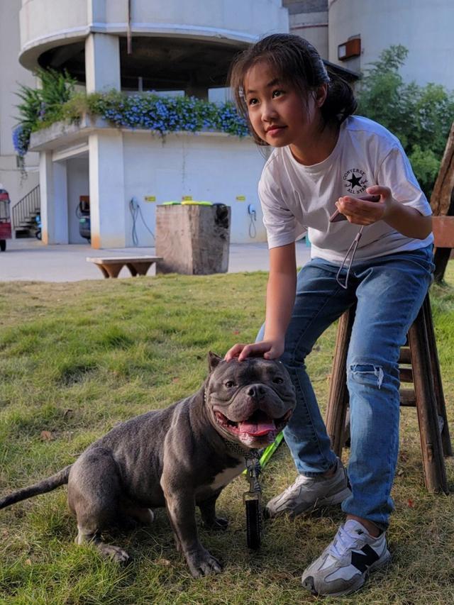 7只宠物迷宫干饭小哥花式养狗，1个视频赚几十万，农民致富新途径