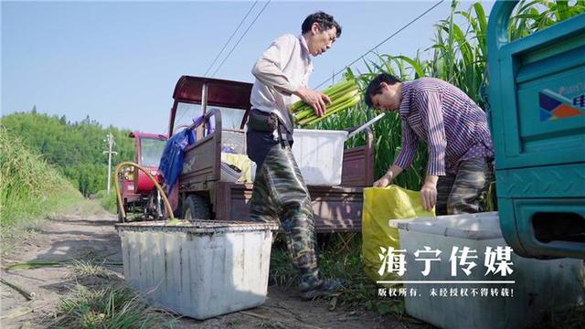 海宁驻山干部：勤跑腿多用心 扎进深山搭起“增收桥”