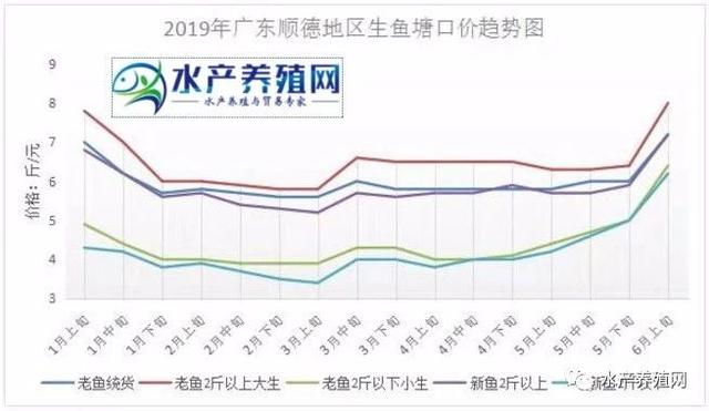 遭遇历史最低价，从猛赚到巨亏，养黑鱼像炒股，现在总算有所好转了