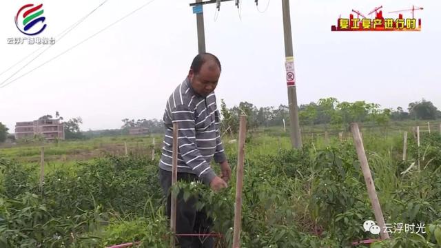 云浮：垦造水田让土地“活”起来