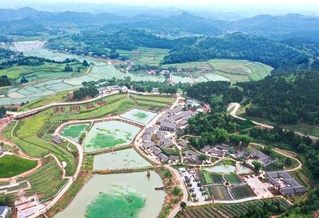 经济观察丨四川大力发展庭院经济，脱贫群众前庭后院“种”出致富果