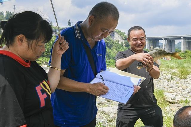 贵州凯里：稻鱼共生双丰收