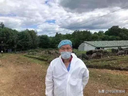 “精气神”黑山猪是怎样炼成的？东北防控非瘟生产实践