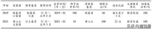 白果蒲桃生物学与生态学特性及播种育苗技术