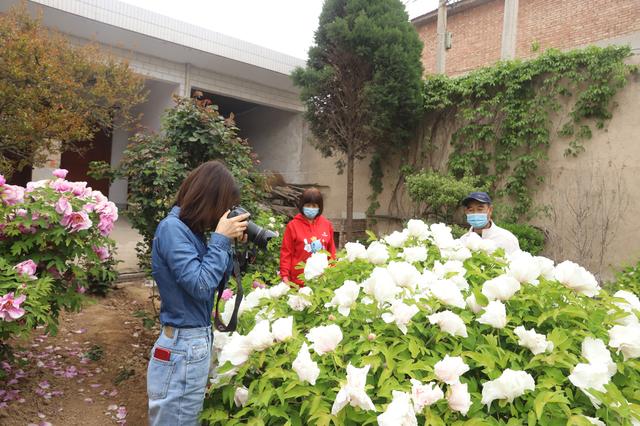 每个院子里，都应该繁花锦簇，有10种花卉适合栽种，寓意好又美丽