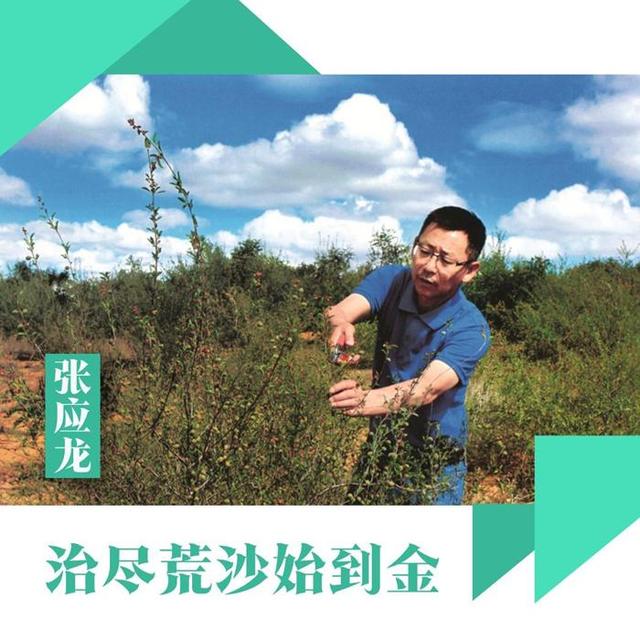 张应龙 治尽荒沙始到金