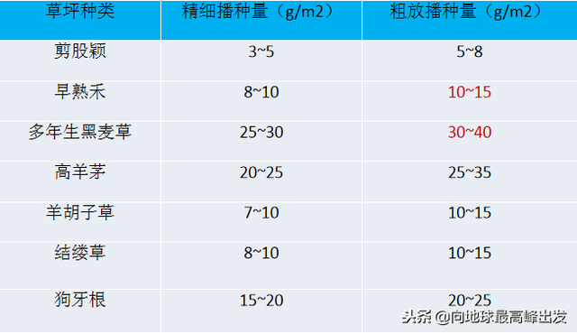 园林绿化种植苗施工——草坪种植篇（九）