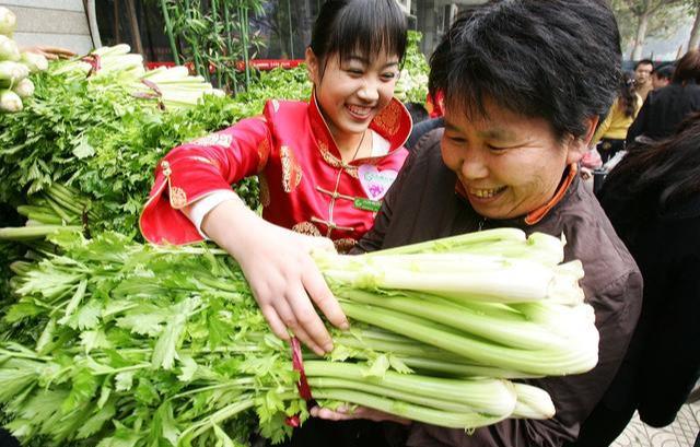 买芹菜时学会这5招，轻松挑到好芹菜，新鲜又嫩绿，一挑一个准