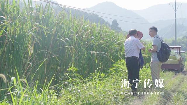 海宁驻山干部：勤跑腿多用心 扎进深山搭起“增收桥”