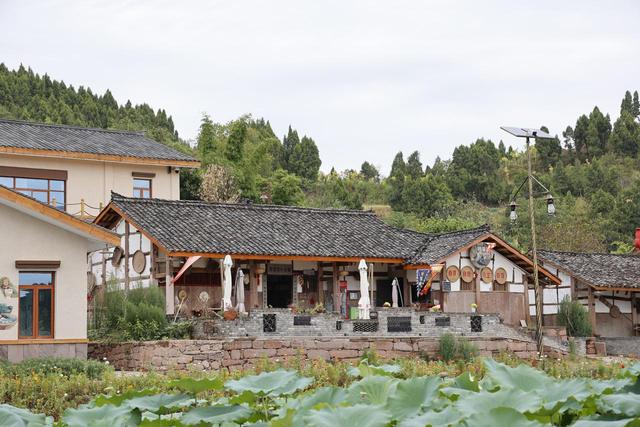 经济观察丨四川大力发展庭院经济，脱贫群众前庭后院“种”出致富果