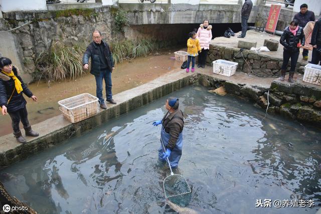 纯干货！水产养殖如何培育好一池好水，养殖户必看