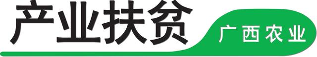 创新！广西河池金城江区用这种模式带动贫困群众增收