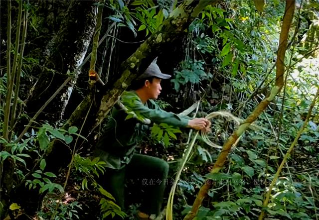 小伙太狠心制作了一把3米长的弓弩，射中一只30斤的豪猪