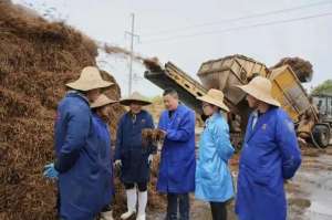 全国榛蘑种植基地(年产量成为“上海之最”，金山这家“蘑菇工厂”很厉害)