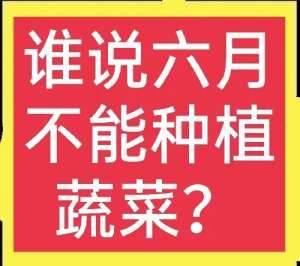 菜椒种植时间(六月份天气太热，不能种植蔬菜吗？哪些蔬菜适合现在种植？)