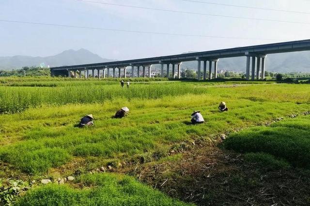 金融赋能 建设银行裕农贷款助力共同富裕