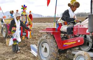 青稞的种植方法(2023年西藏计划落实青稞播种面积220万亩)