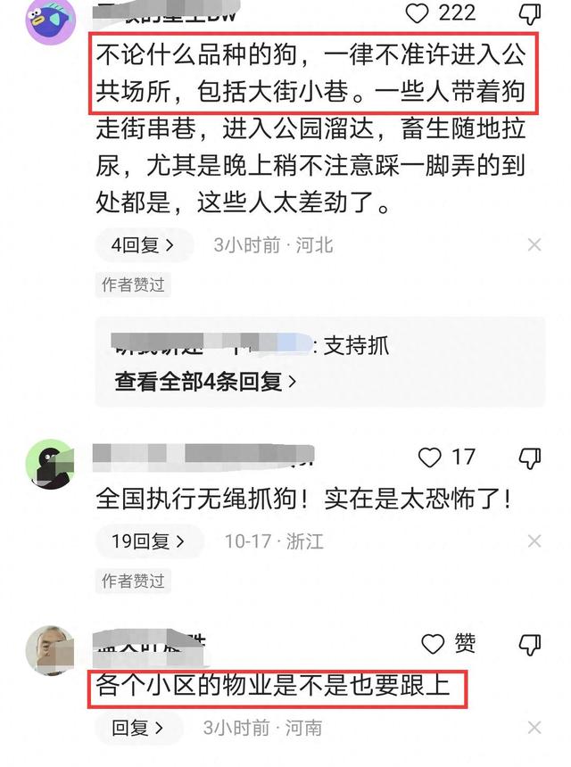 成都部分小区成立打狗队，爱狗人士坐不住了，称不能拿无辜狗泄愤