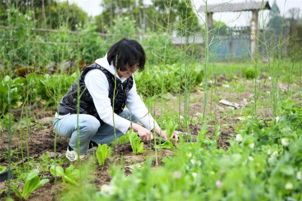 更广舞台、更多信心、更大底气——台胞台企点赞“农林22条措施”