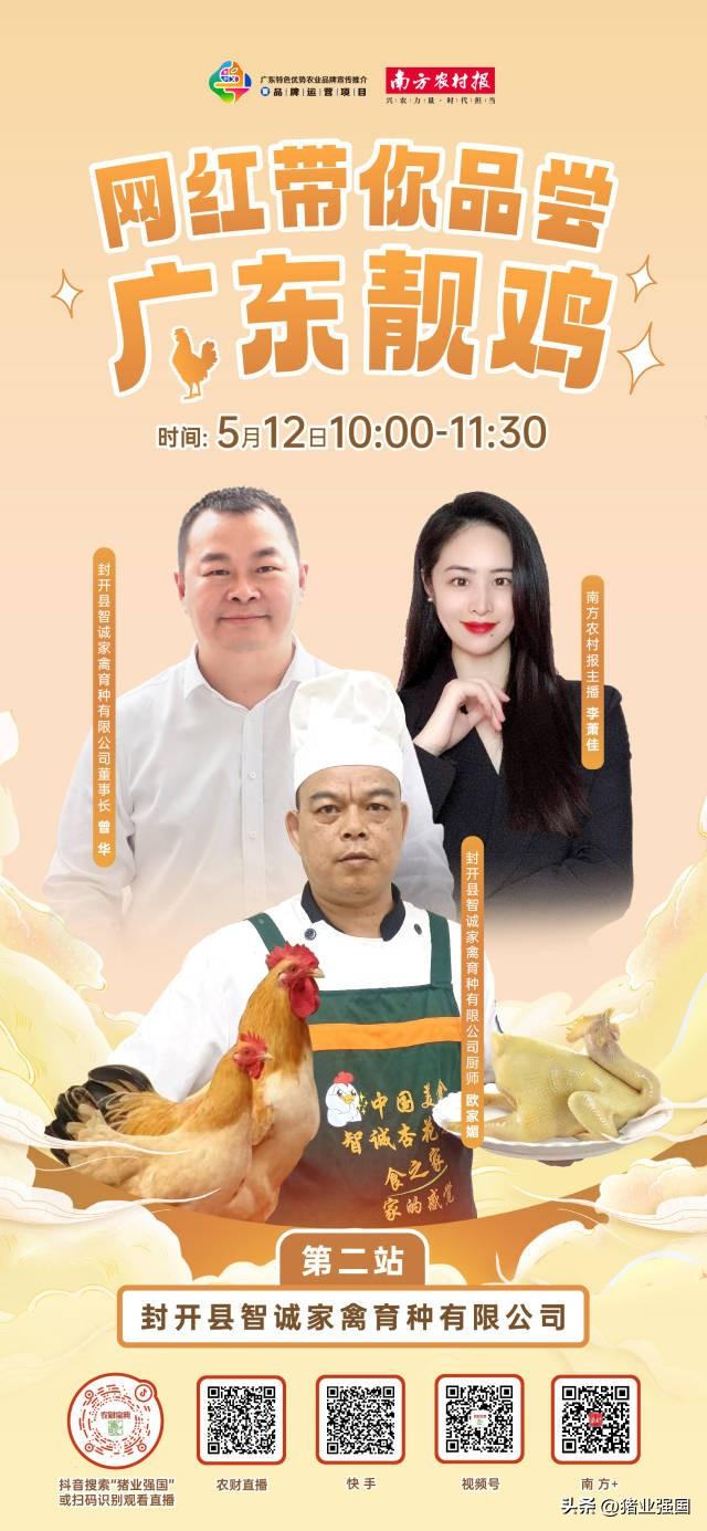 好山好水孕育“鸡”中绝味！智诚家禽年出栏商品杏花鸡达200万只