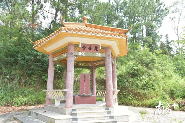 “走读河源红色村”系列报道④ 河源市紫金县柏埔镇方湖村：烈士龚苑香故乡谋划乡村生态游