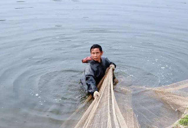 鲈鱼、鸭嘴鲟、中华鲟…兴文这23个鱼塘占地500亩，常年存塘量70万斤