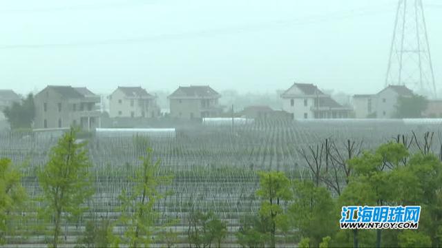 南通通州东平村千万资金打造“芦笋村”