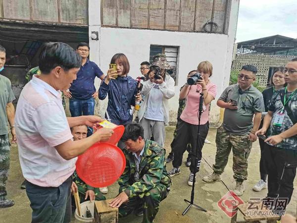 大马蜂变身农民“红人”云南德宏养殖胡蜂实现绿色防控