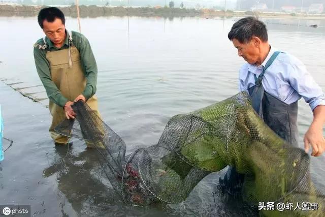 养殖小龙虾赚钱的养殖户竟都是这样去做的！想赚钱赶紧收藏