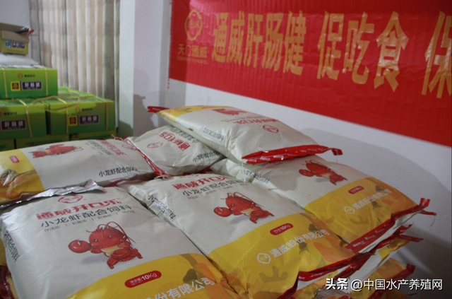 见证好产品：26年只销售一个品牌饲料！跟着他的养殖户都赚钱！