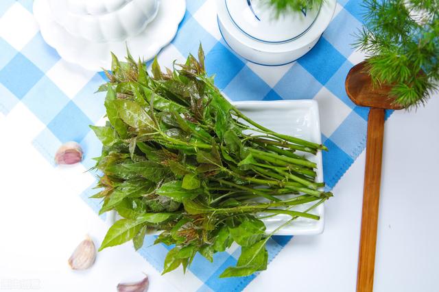 清明过后百草香，这15种野菜遇到别忘采点尝尝鲜，品尝春天的味道