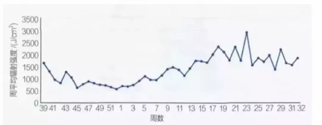 现代温室番茄种植技术：温室补光的实际应用