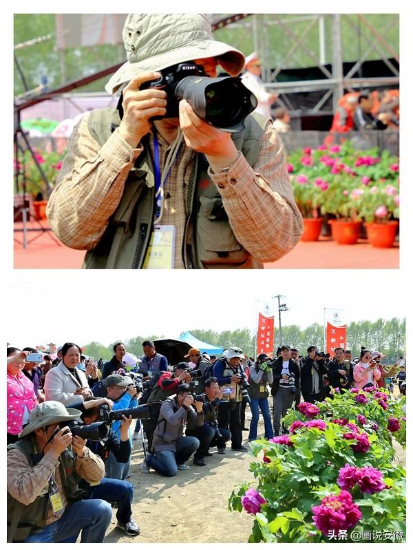 首届中国固镇汉都牡丹花卉节在蚌埠市新马桥汉都牡丹园隆重开幕