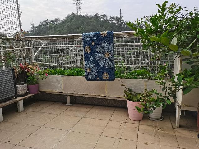 关于露台菜园用种植箱