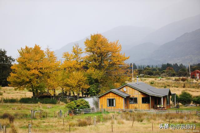 中国最美十大银杏风景观赏地，秋季看银杏叶的地方，你去过几个？