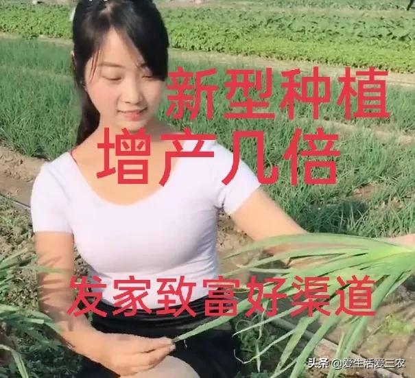 农村种植不赚钱？来试试这些新型特殊种植方式，发家致富很简单