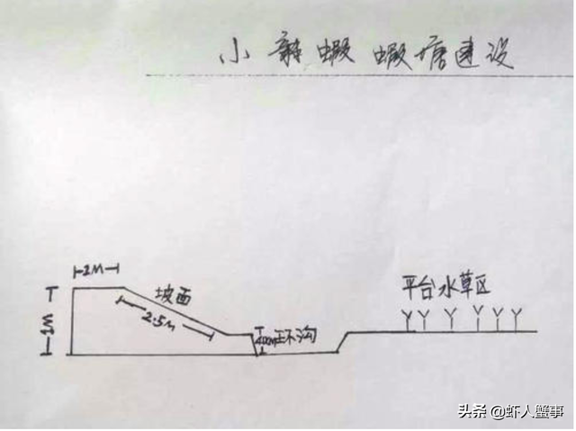 今年搞小龙虾养殖想赚钱？这五个问题没去关注就是天方夜谭